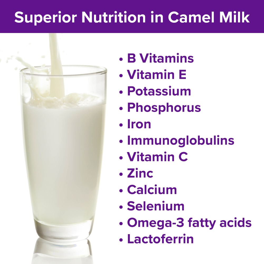 Superior Nutrition in Camel Milk