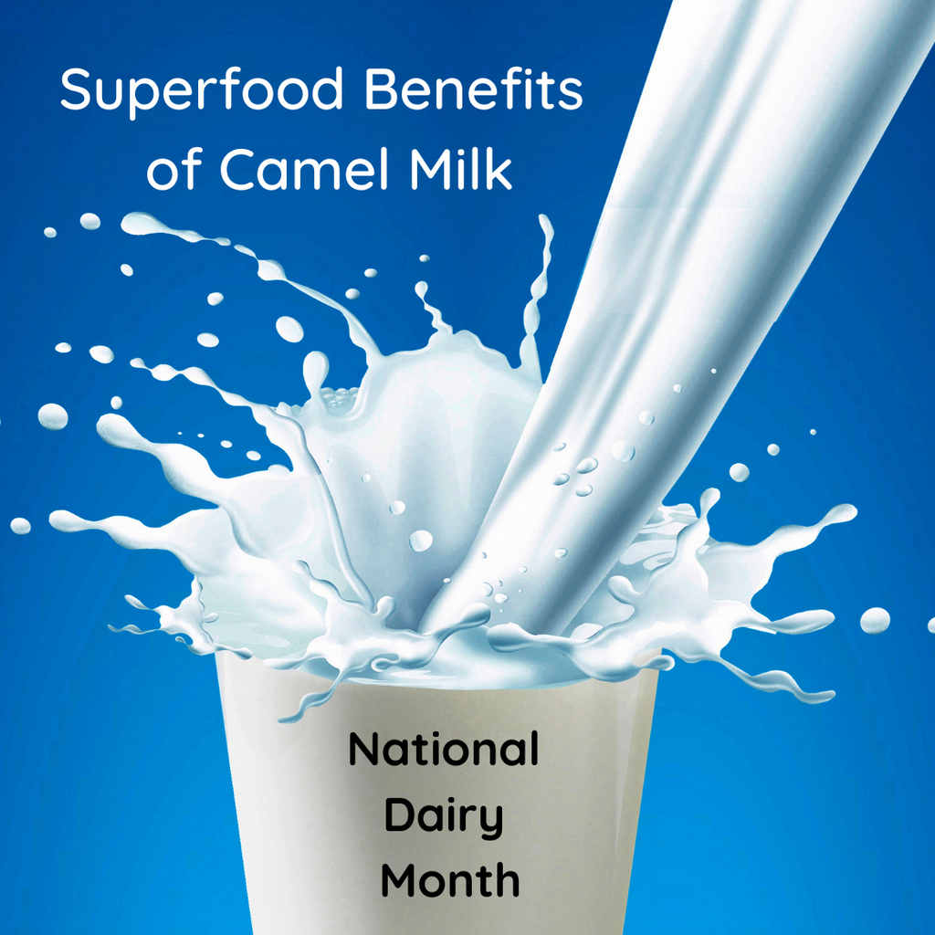 Superfood Benefits of Camel Milk