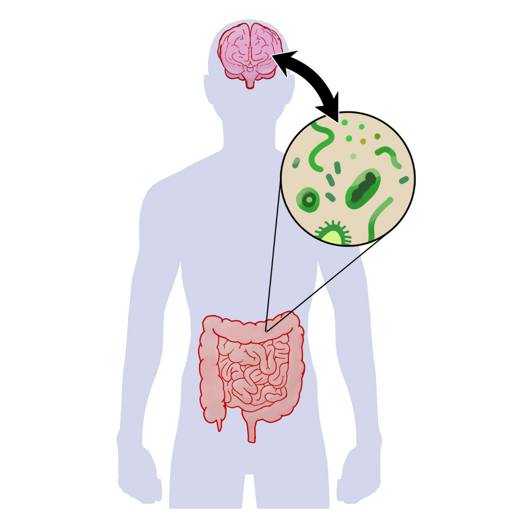 How the Gut-Brain Axis Can Affect Your Health