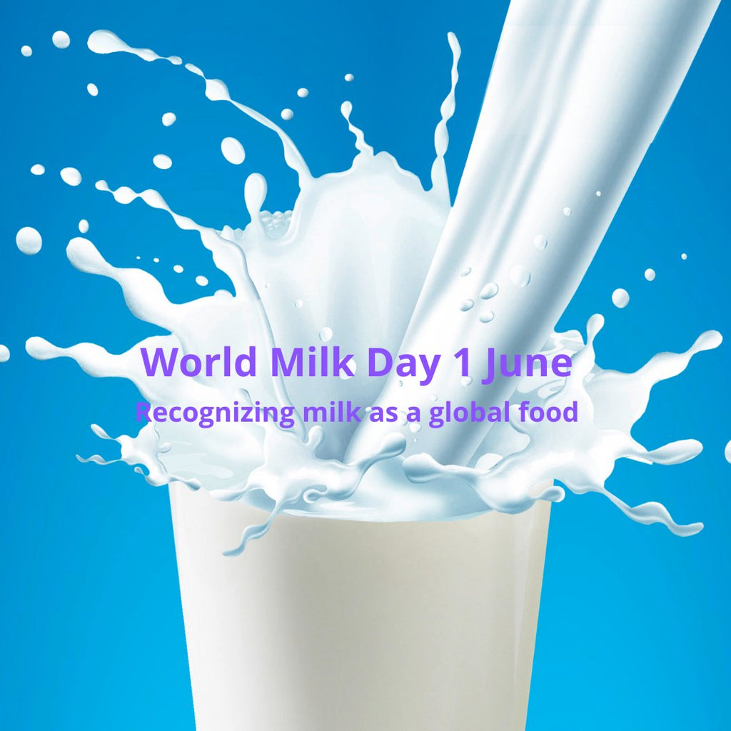 Blood Sugar Benefits of Camel Milk on World Milk Day - Camelicious USA