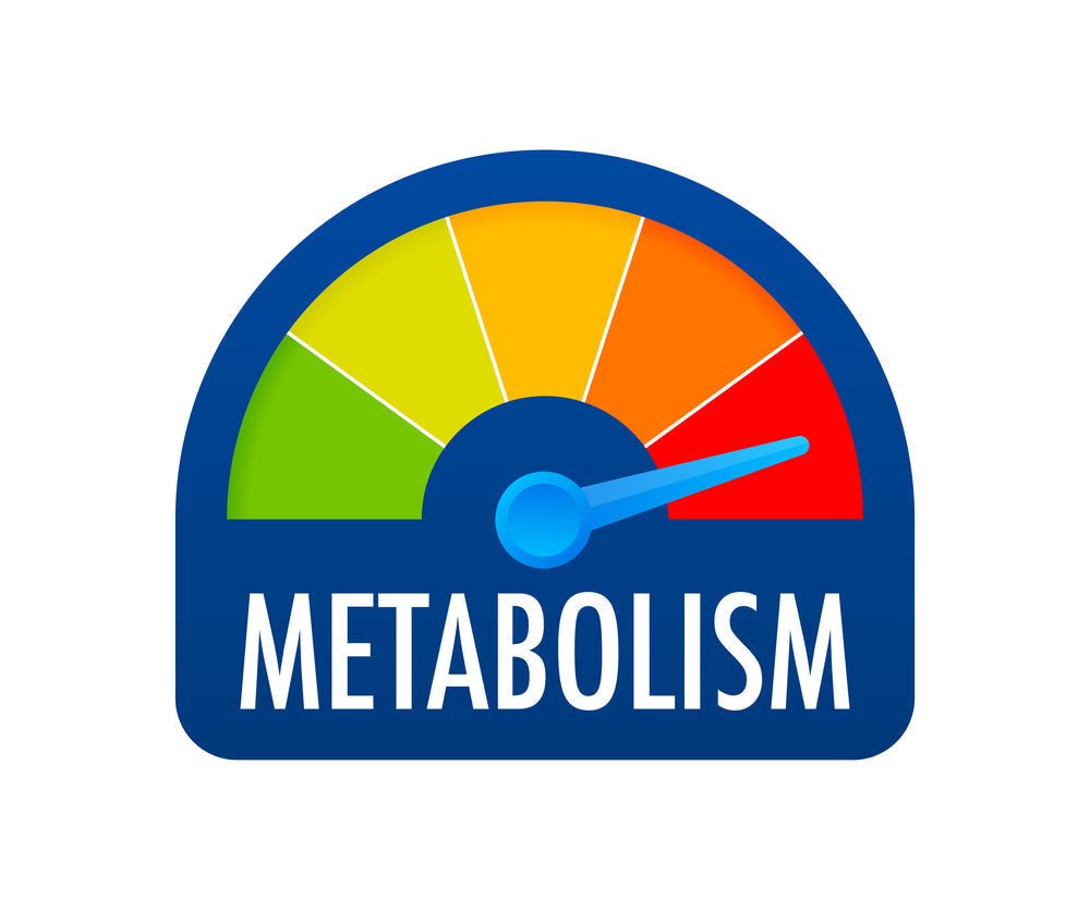 Could Your Health Issues Be Linked to Metabolic Dysfunction? - Camelicious USA