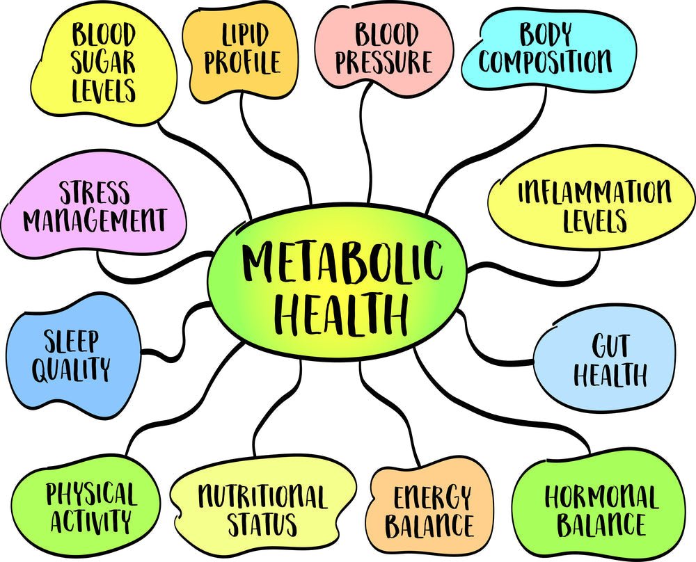 The Key to Restoring your Metabolic Health is Restoring Mitochondrial Function - Camelicious USA